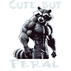 Raccoon Muscle Feral