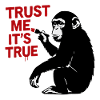 Believe me, it's true – monkey art