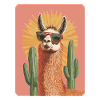 lama
