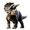Triceratops Dinosaur Dinos Triceratops Dino
