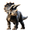 Triceratops Dinosaur Dinos Triceratops Dino