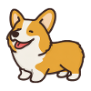 corgi