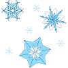 Wintersterne