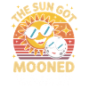 Sun Moon Eclipse with Glasses
