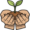Hands protect plant growth
