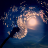 Blowing in the wind