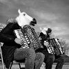 Band of Horses