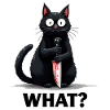 WHAT? Killer-Katze