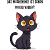 Black Cat Funny Saying Weekend Over