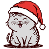Cat in a Santa hat