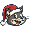 Cat in a Santa hat