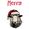 Merry Sheepmas Funny Sheep Christmas Motif