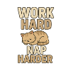 Work Hard Nap Harder