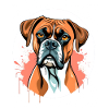 Aquarell Boxer Portrait