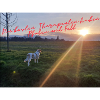 PfotenTherapie am Abendsonne
