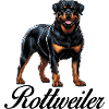Rottweiler Powerful Graphics