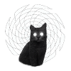 Spiral Cat