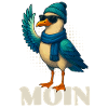Cool Seagull - Moin
