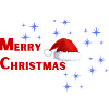 Merry Christmas Santa Hat