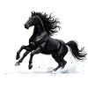 Black Gallop: Horse in Motion