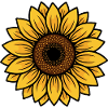 Sunflower Radiant Center Motif