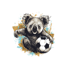 Koala Football Team