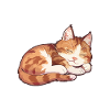 Official Sleep Shirt Cat