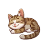 Official Sleep Shirt