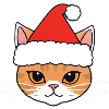 Christmas Cat with Santa Hat