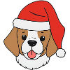 Dog with Christmas hat