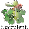 Succulente Fleur Aquarelle