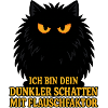 Dunkler Schatten mit Flauschfaktor – Katze