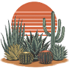 Boho Nature Cacti