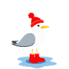 Moin Seagull in Frisian look