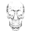 Skull with Seal DEAD