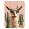 Lama