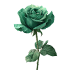 Rose vert émeraude