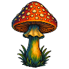 fly agaric