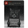 Cat a un message pour vous - Funnier