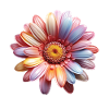 Regenbogen Gänseblümchen – Bunte Flowerpower
