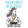 Karate Einhorn
