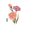 Naissance Fleurs Janvier Oeillet
