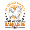 What would Samoyed do sled dog