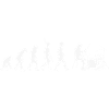 Battery Evolution