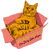 SPECIAL DELIVERY