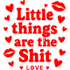 Little Things Are The Shine