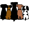 Les chiens sont mes personnes préférées