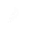 Pawprint Heart Stardust