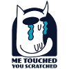 Moi Touché Chat Égratigné Insolent Pleurer