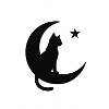 Moon cat on moon shadow